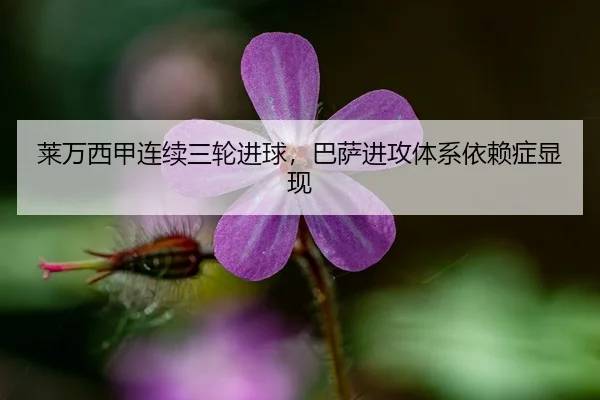 莱万西甲连续三轮进球，巴萨进攻体系依赖症显现