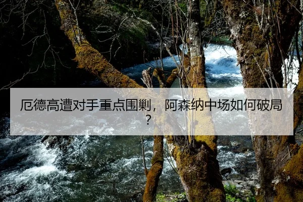 厄德高遭对手重点围剿，阿森纳中场如何破局？