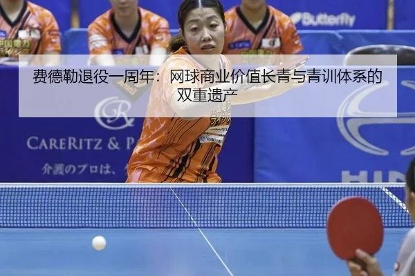 fei-de-lei-tui-yi-yi-zhou-nian-wang-qiu-shang-ye-jia-zhi-chang-qing-yu-qing-xun-ti-xi-de-shuang-chong-yi-chan-2-887.jpg
