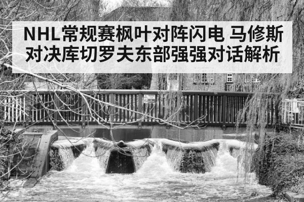 NHL常规赛枫叶对阵闪电 马修斯对决库切罗夫东部强强对话解析